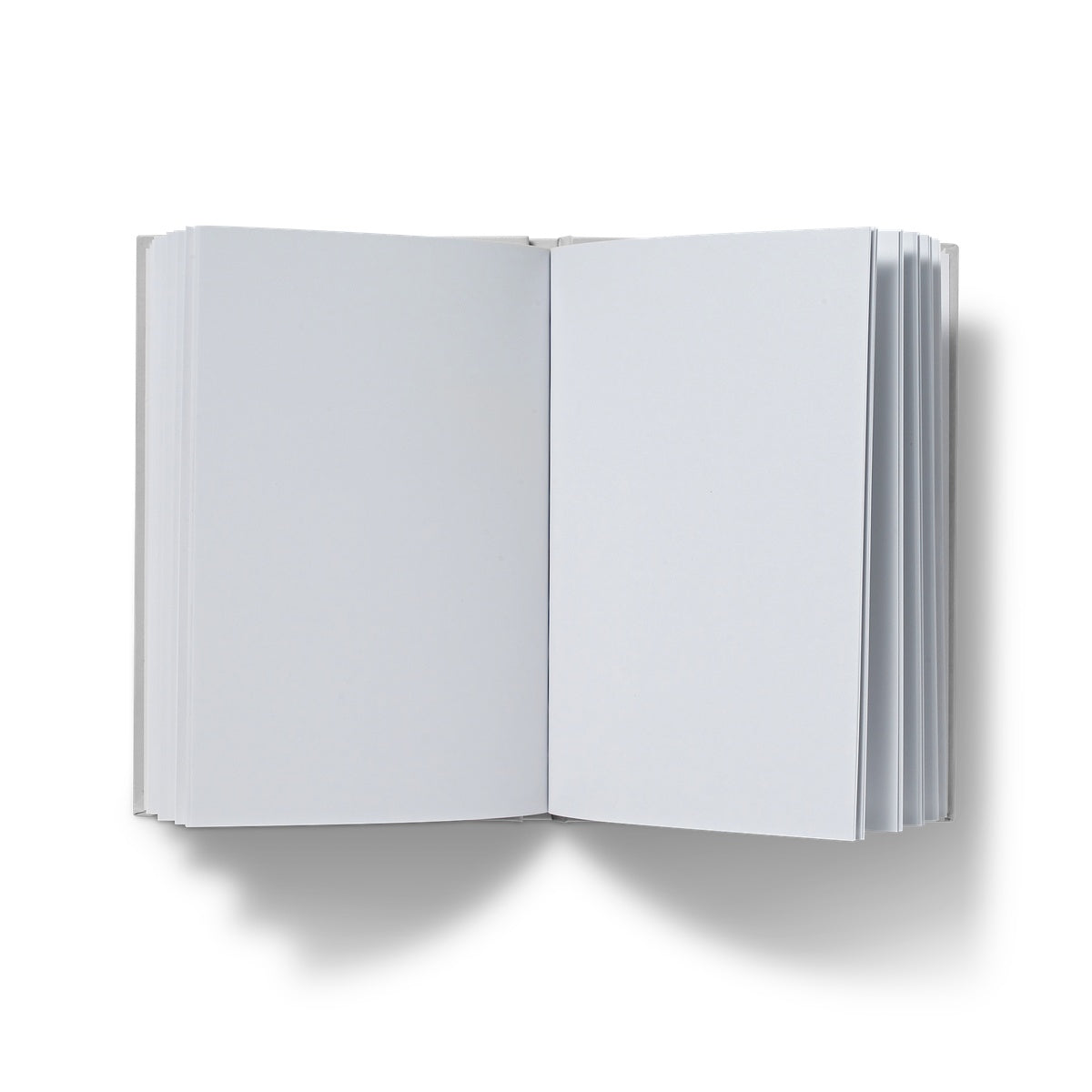 Blue Circles Hardback Journal