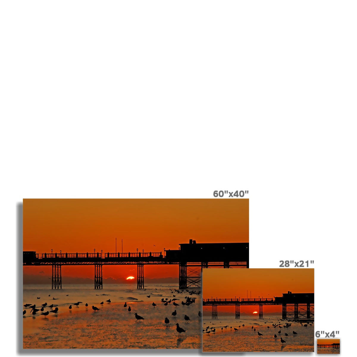 Worthing Sunset With Seagull Babies by David Sawyer Wall Art Poster