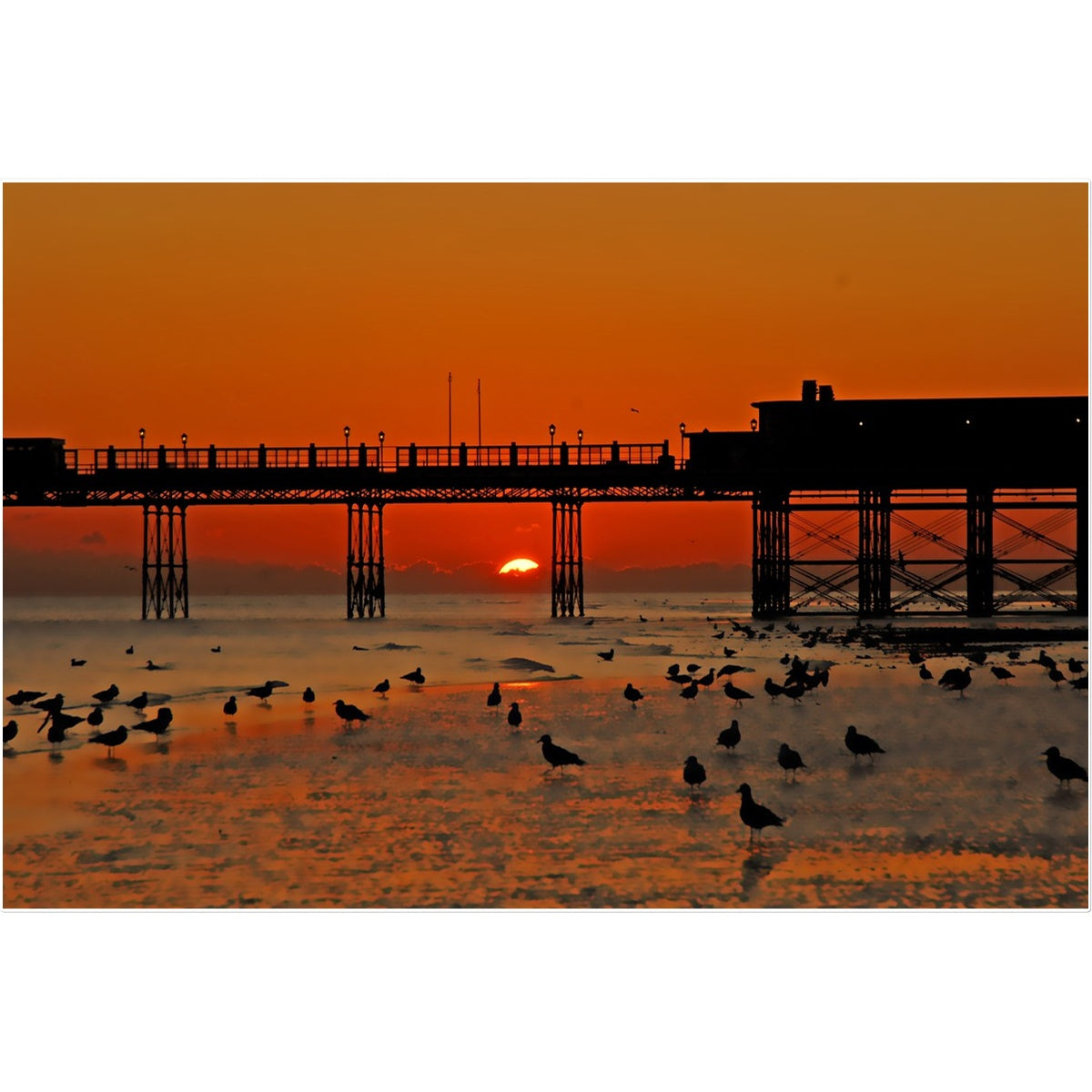 Worthing Sunset With Seagull Babies by David Sawyer Temporary Tattoo