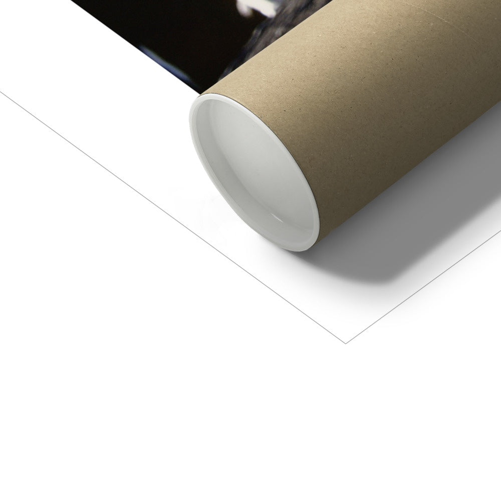 ad-09-mh Photo Art Print