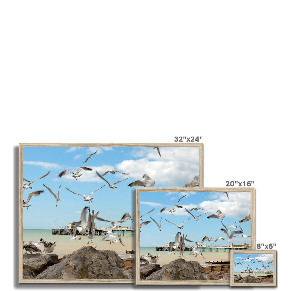 Seagulls At Feeding Time By David Sawyer Budget Framed Poster
