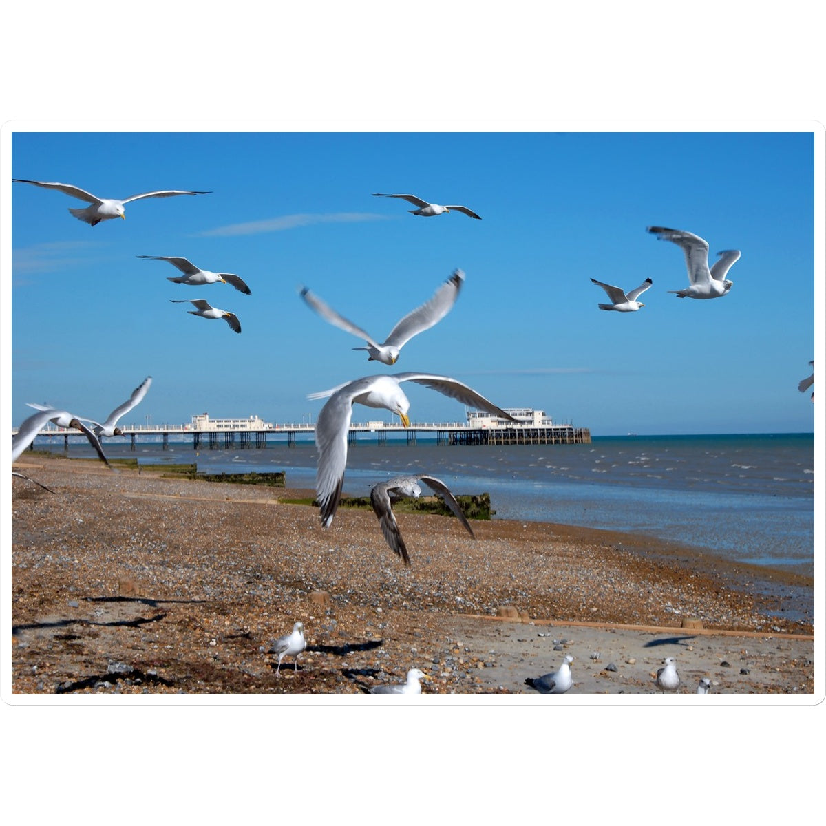 Worthing Pier From The West By David Sawyer Sticker