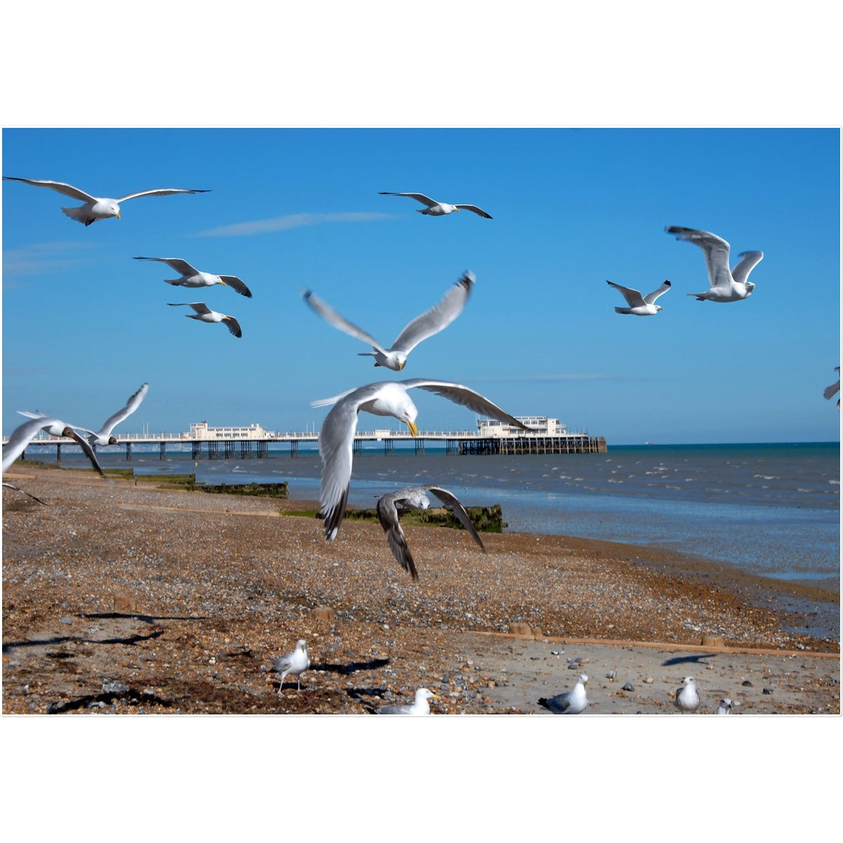Worthing Pier From The West By David Sawyer Temporary Tattoo