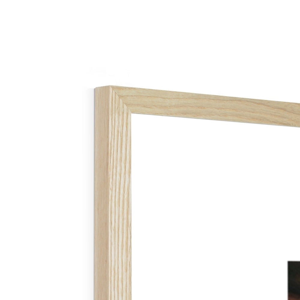 ad-11-mh Framed Print