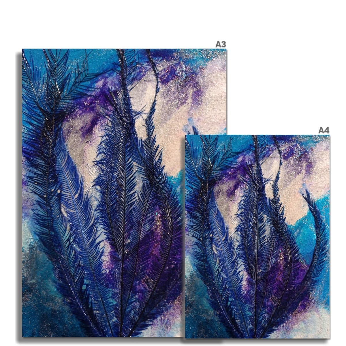 Feathers Fine Art Print