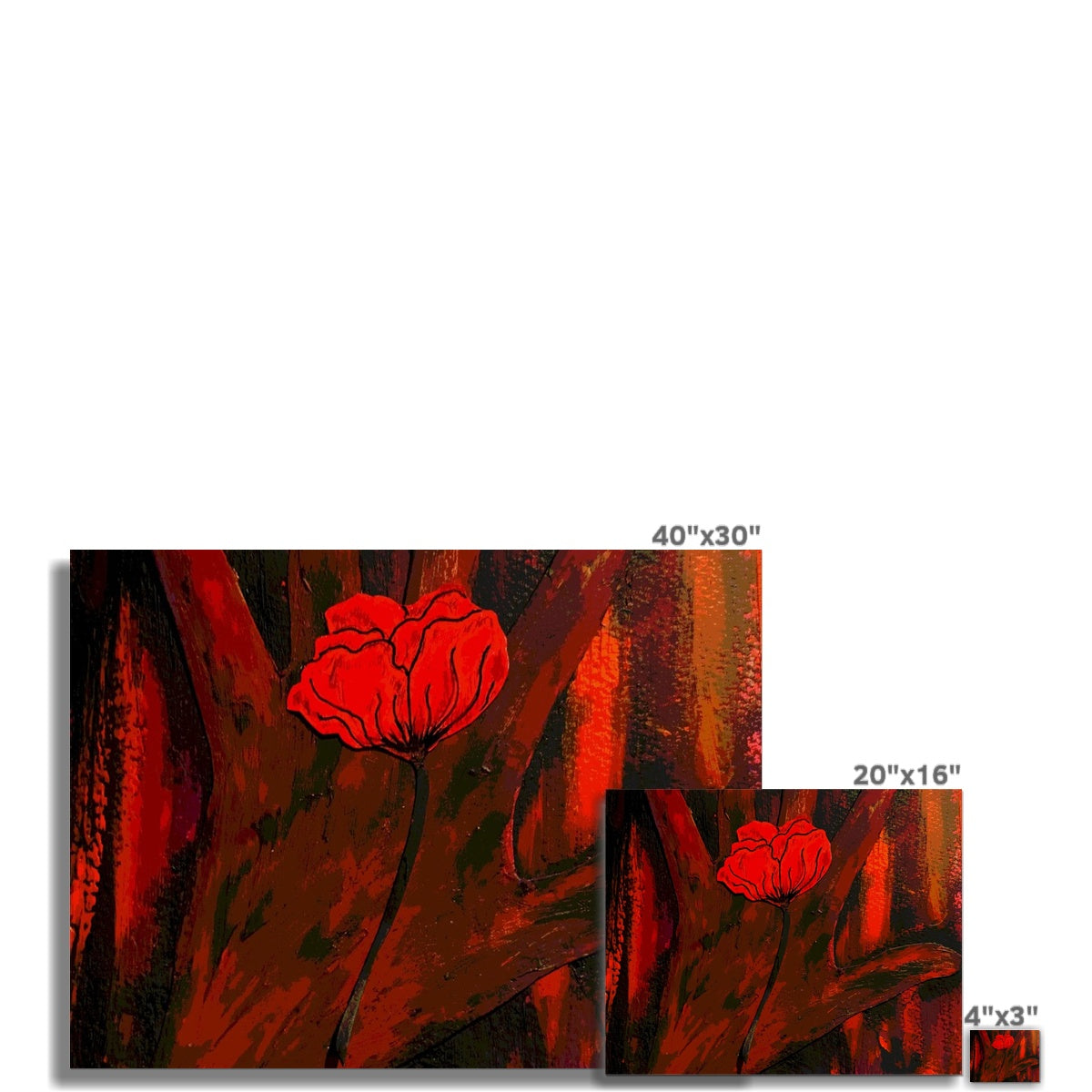 Lest We Forget C-Type Print