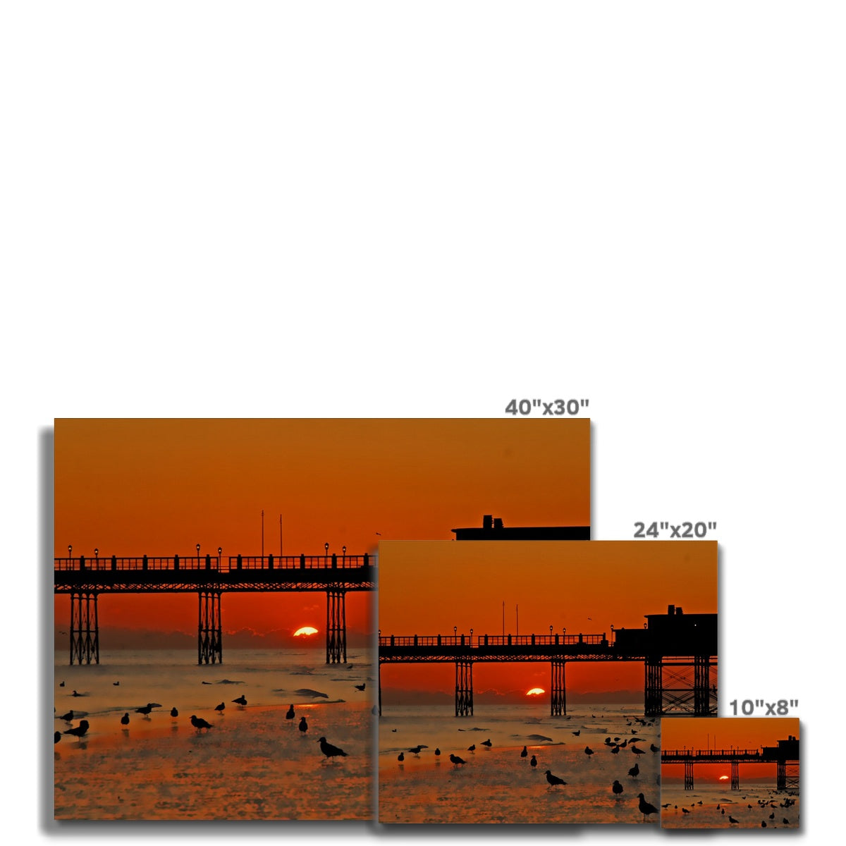 Worthing Sunset With Seagull Babies by David Sawyer Canvas