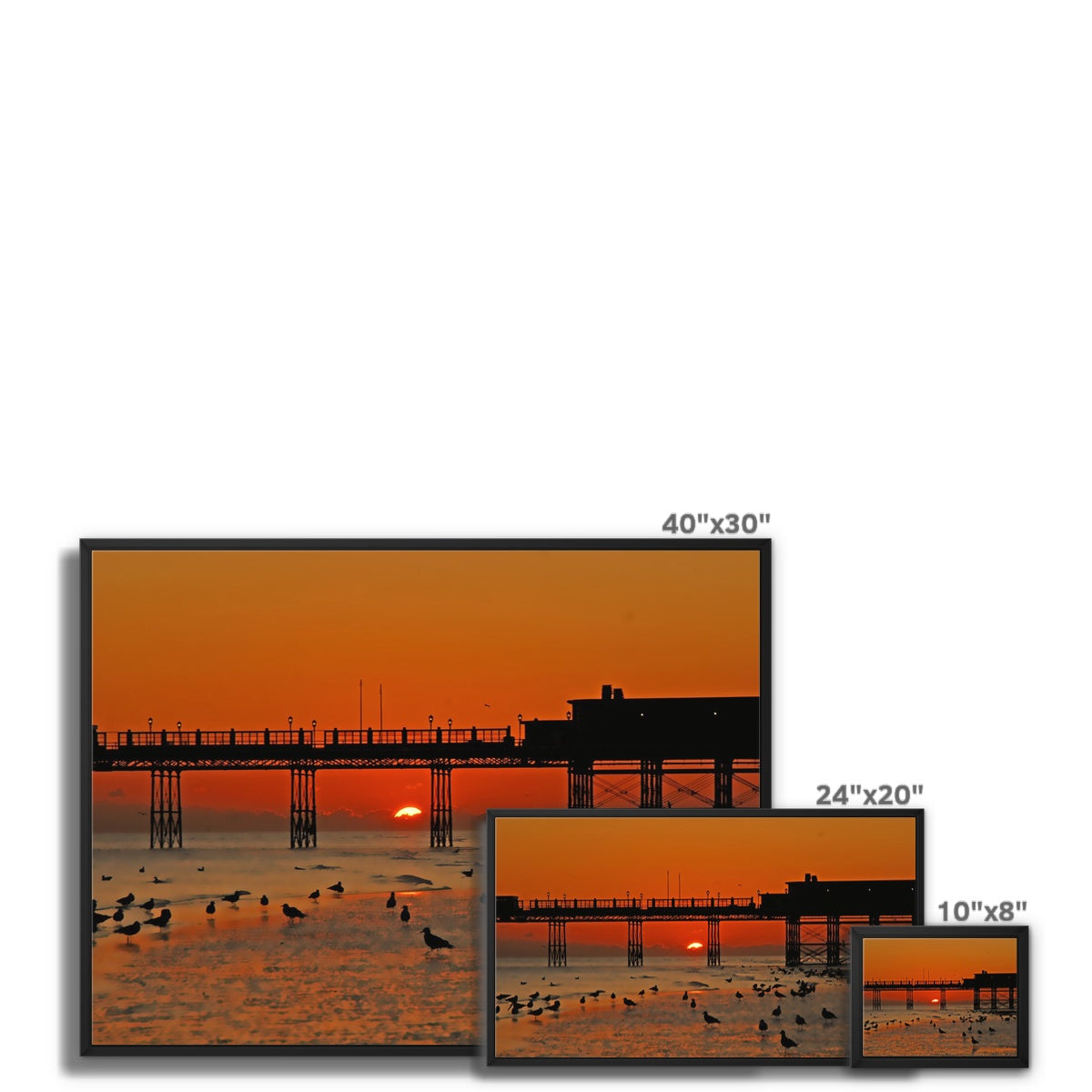 Worthing Sunset With Seagull Babies by David Sawyer Framed Canvas