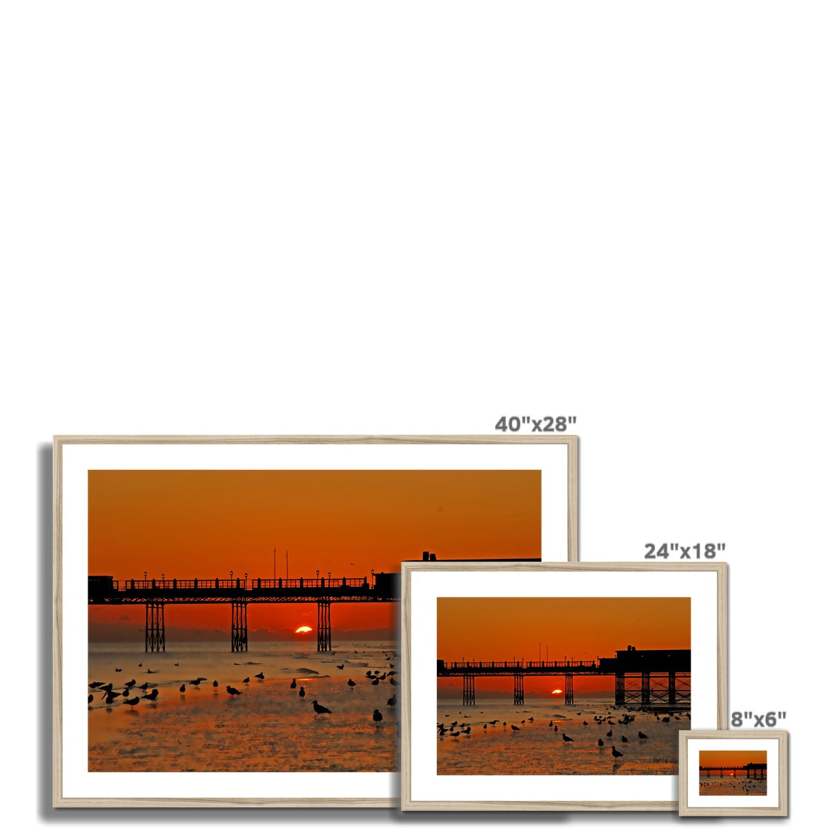 Worthing Sunset With Seagull Babies by David Sawyer Framed & Mounted Print