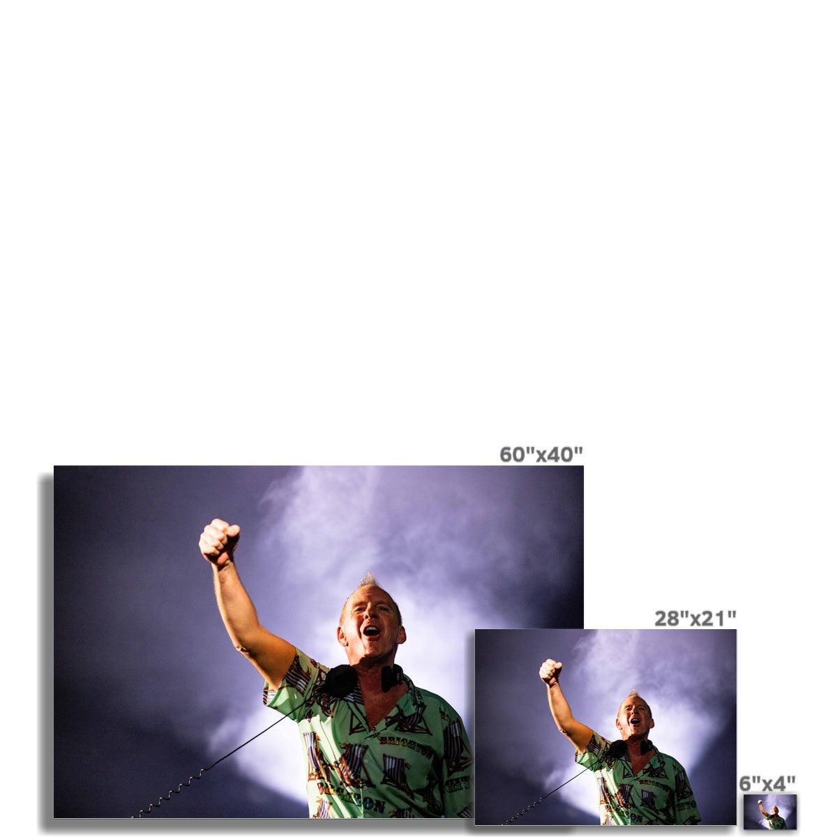 Laughing Seagulls - Norman 1 Wall Art Poster