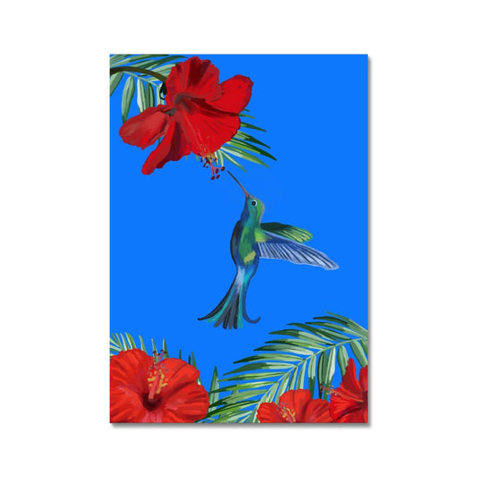 Hummingbird (Christine) Fine Art Print