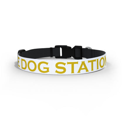The Station Pub - Dog Station - Dog Lead