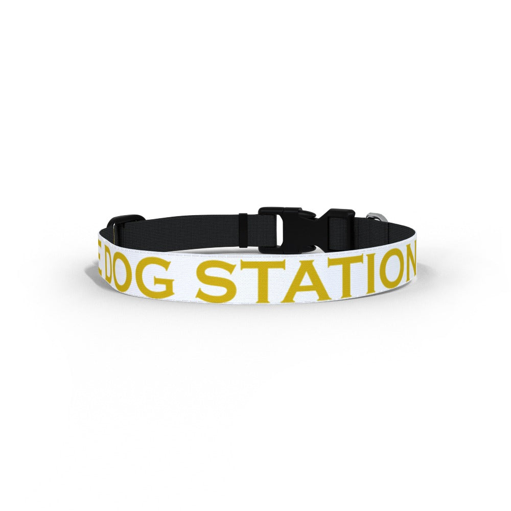 The Station Pub - Dog Station - Dog Lead