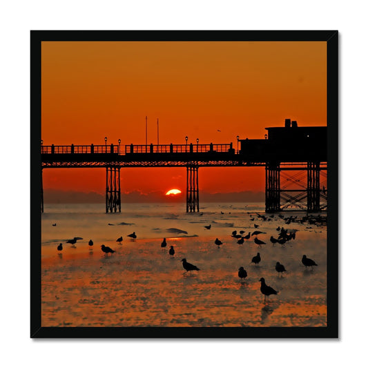 Worthing Sunset With Seagull Babies by David Sawyer Budget Framed Poster