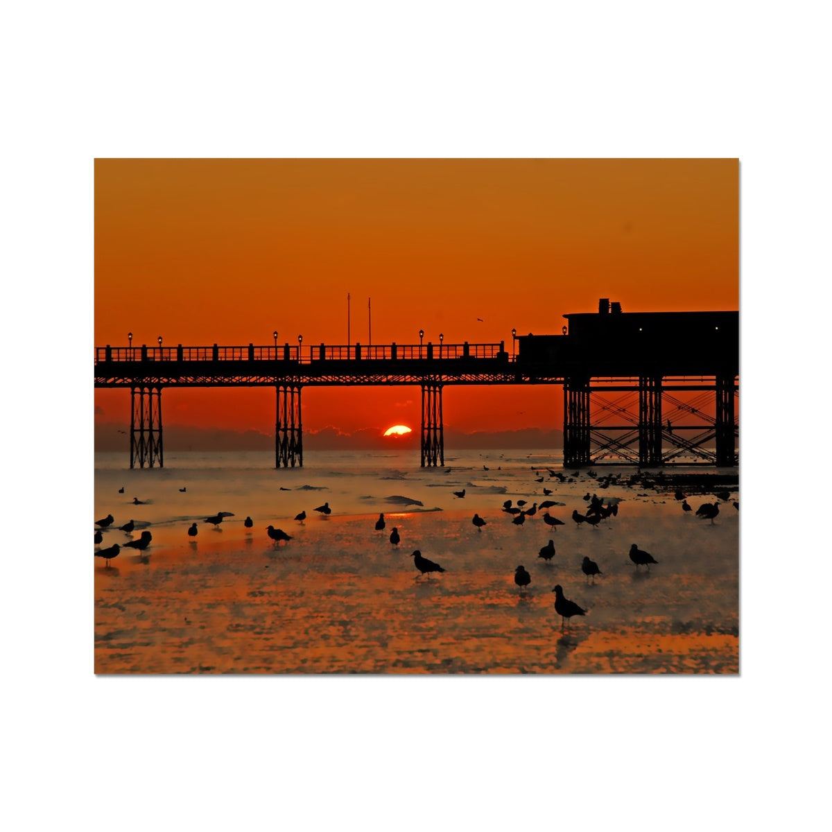 Worthing Sunset With Seagull Babies by David Sawyer C-Type Print