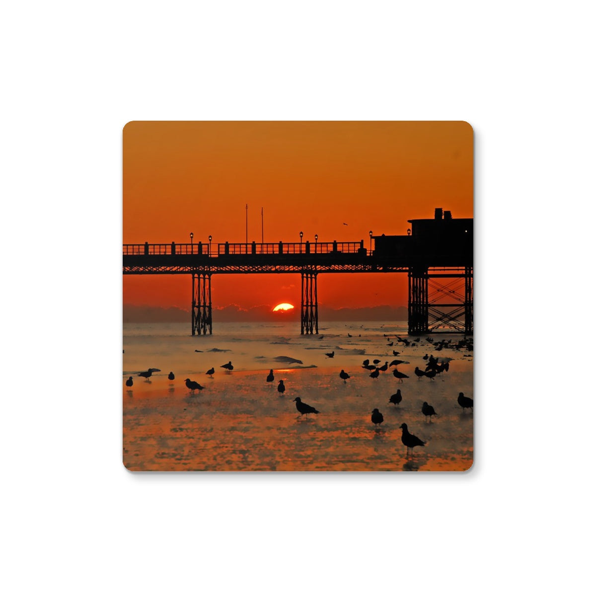 Worthing Sunset With Seagull Babies by David Sawyer Coaster