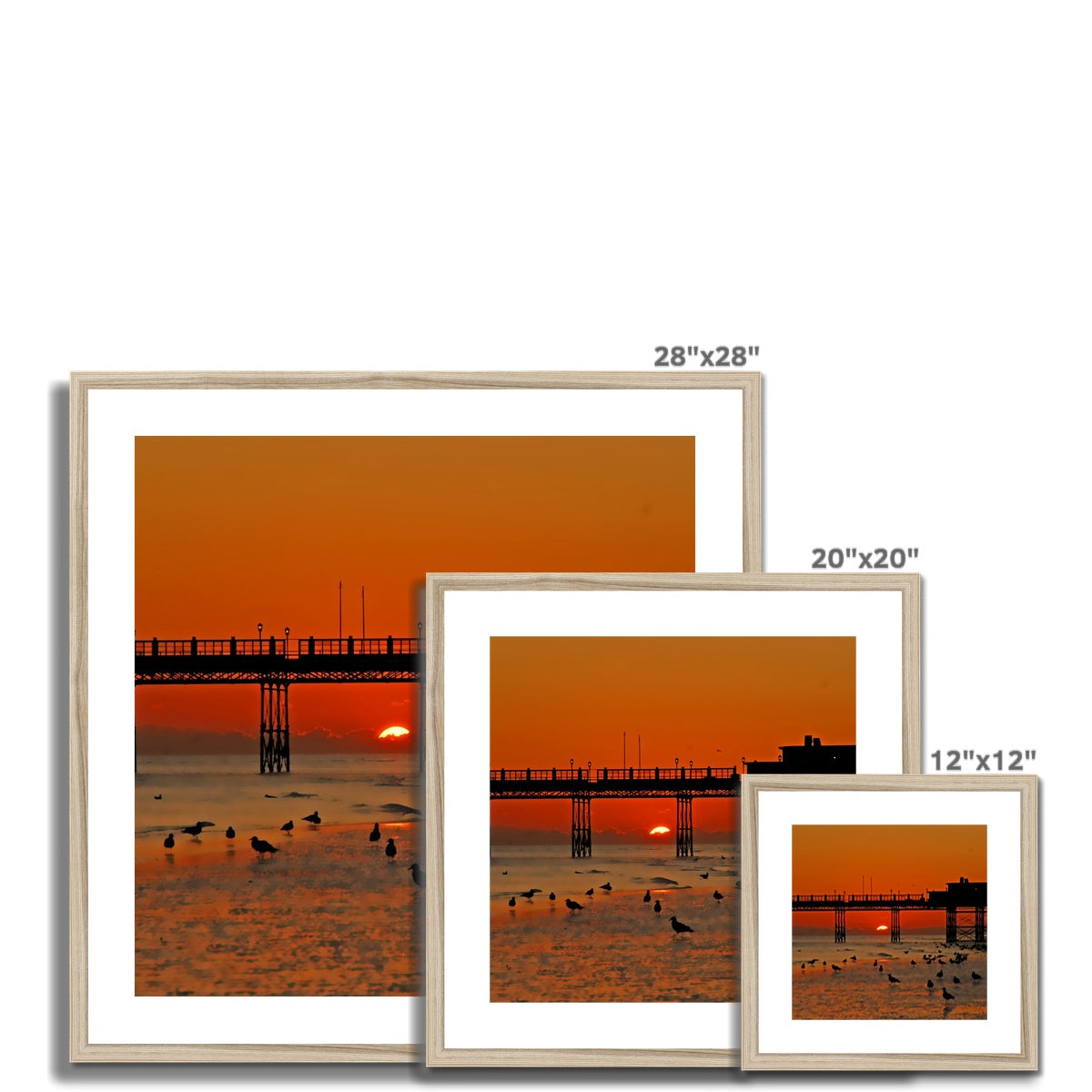 Worthing Sunset With Seagull Babies by David Sawyer Framed & Mounted Print