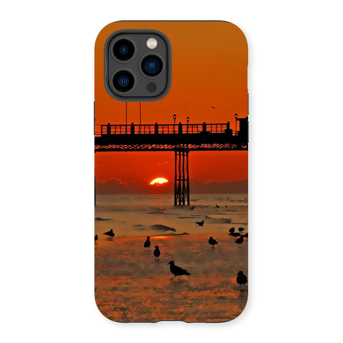 Worthing Sunset With Seagull Babies by David Sawyer Tough Phone Case