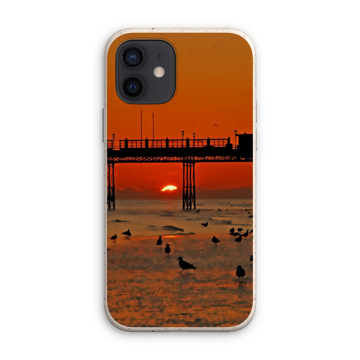 Worthing Sunset With Seagull Babies by David Sawyer Eco Phone Case
