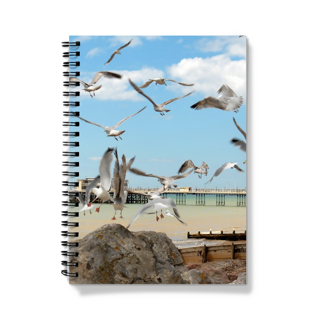 Seagulls At Feeding Time By David Sawyer Notebook