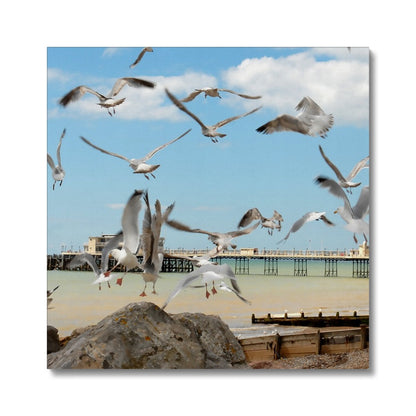 Seagulls At Feeding Time By David Sawyer Canvas