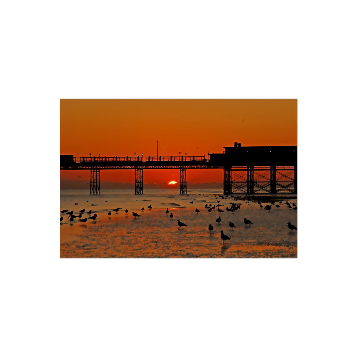 Worthing Sunset With Seagull Babies by David Sawyer Temporary Tattoo