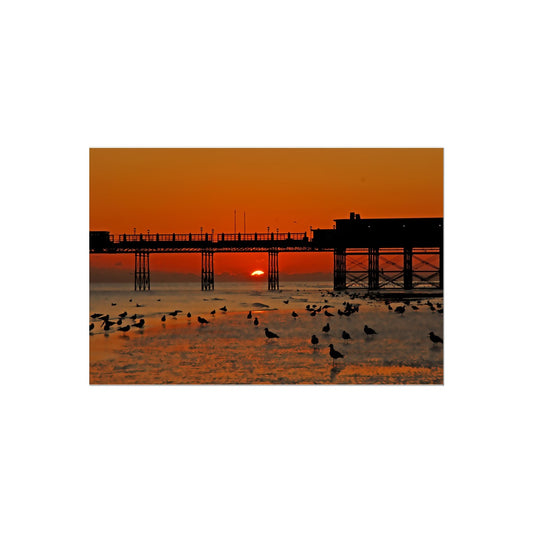 Worthing Sunset With Seagull Babies by David Sawyer Temporary Tattoo