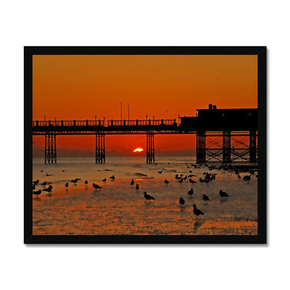 Worthing Sunset With Seagull Babies by David Sawyer Budget Framed Poster