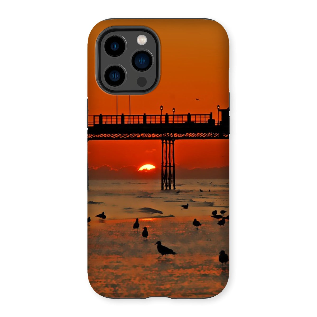 Worthing Sunset With Seagull Babies by David Sawyer Tough Phone Case