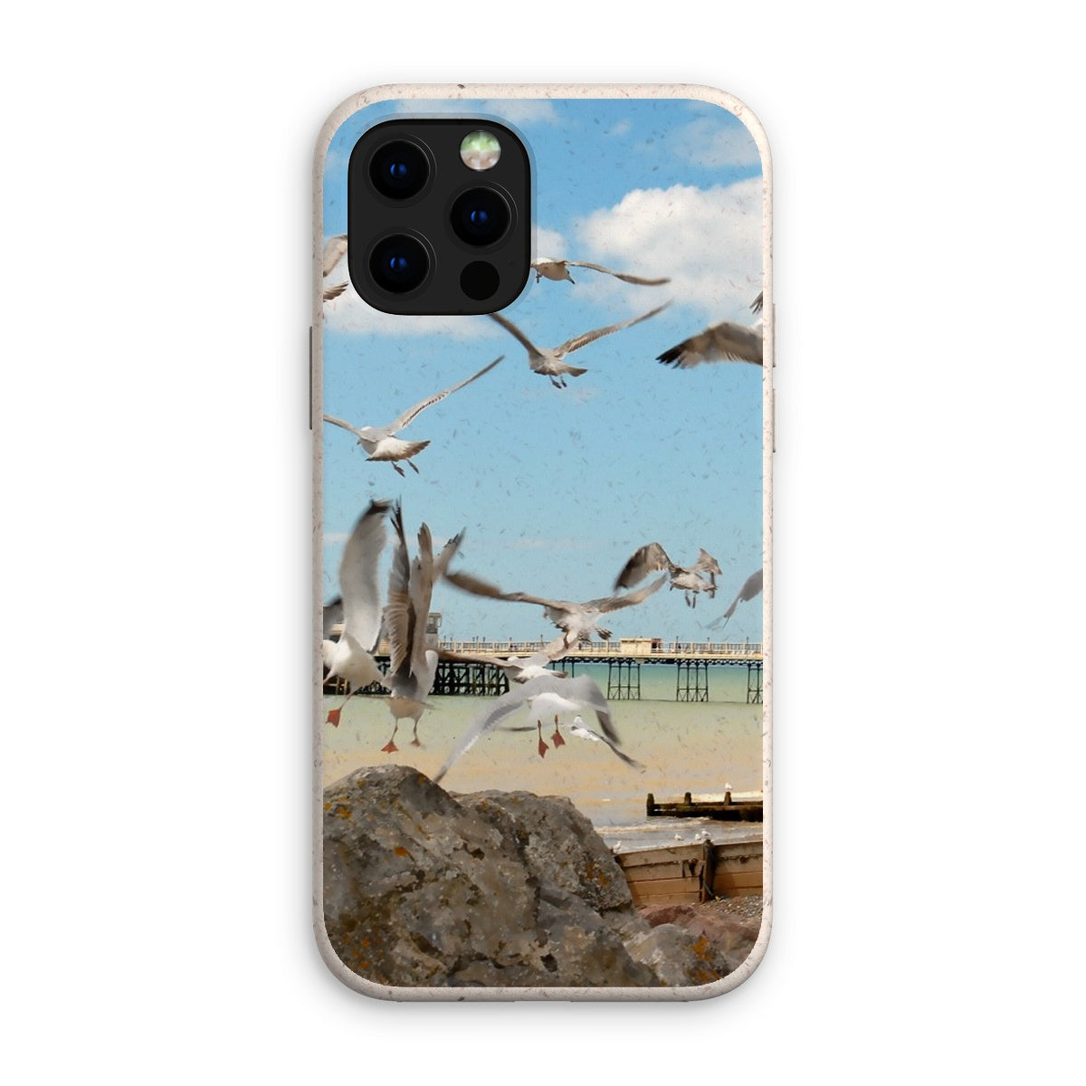 Seagulls At Feeding Time By David Sawyer Eco Phone Case