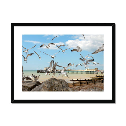 Seagulls At Feeding Time By David Sawyer Framed & Mounted Print