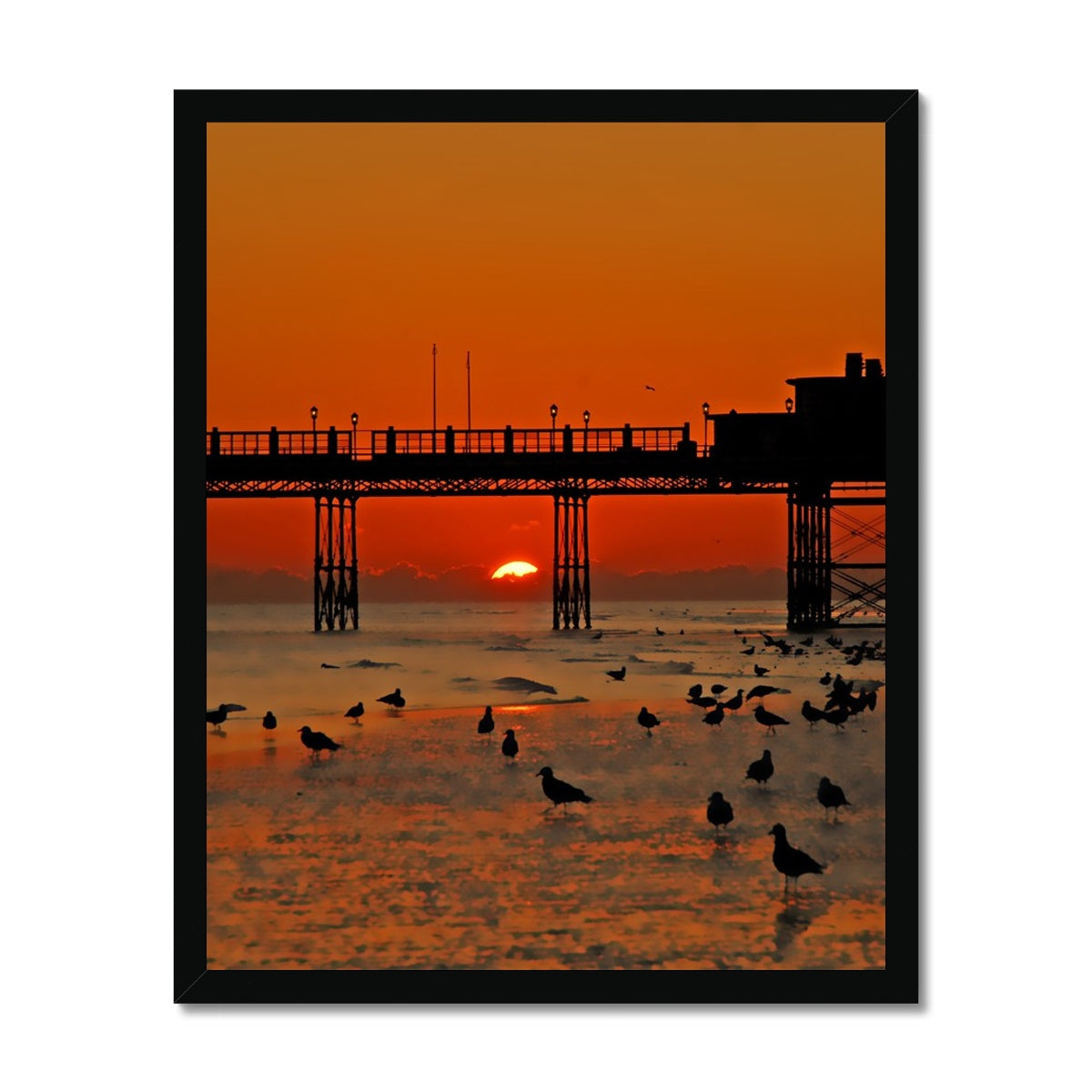 Worthing Sunset With Seagull Babies by David Sawyer Budget Framed Poster