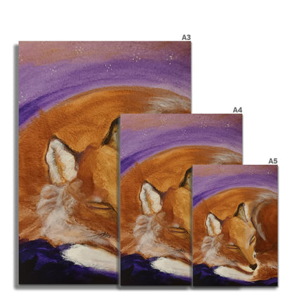 Sleepy Fox Fine Art Print