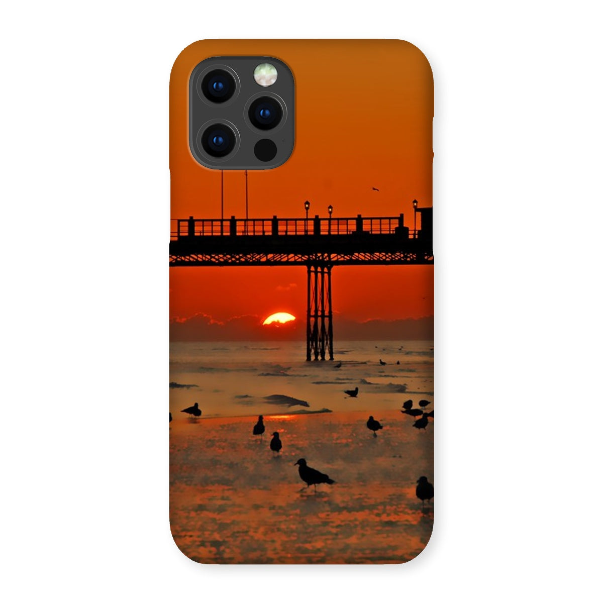 Worthing Sunset With Seagull Babies At The Pier Snap Phone Case