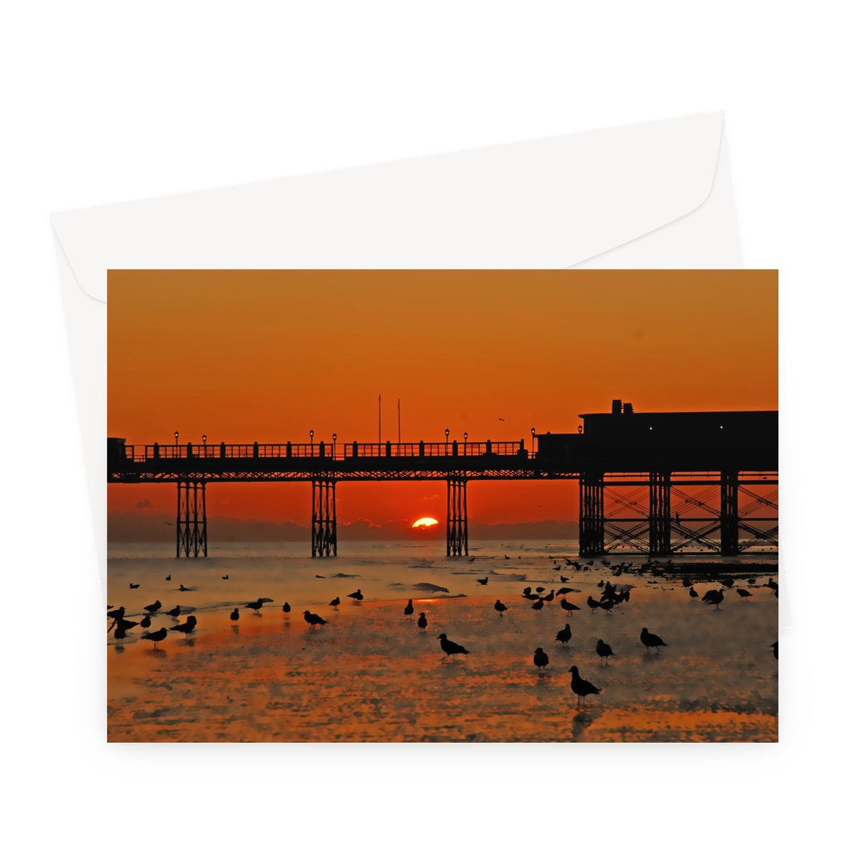Worthing Sunset With Seagull Babies by David Sawyer Greeting Card