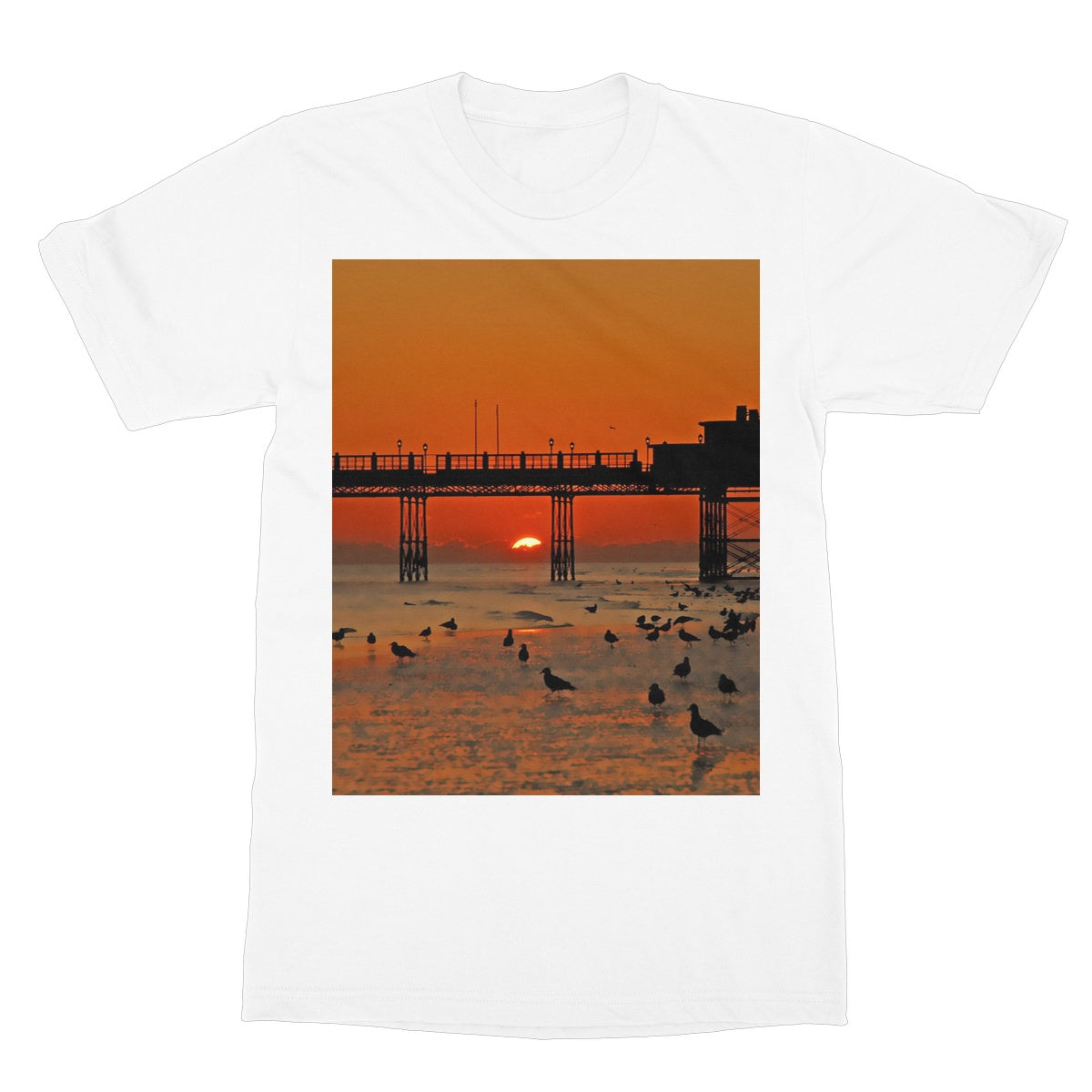 Worthing Sunset With Seagull Babies by David Sawyer Softstyle T-Shirt