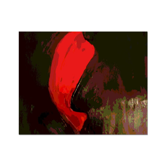 Heat C-Type Print