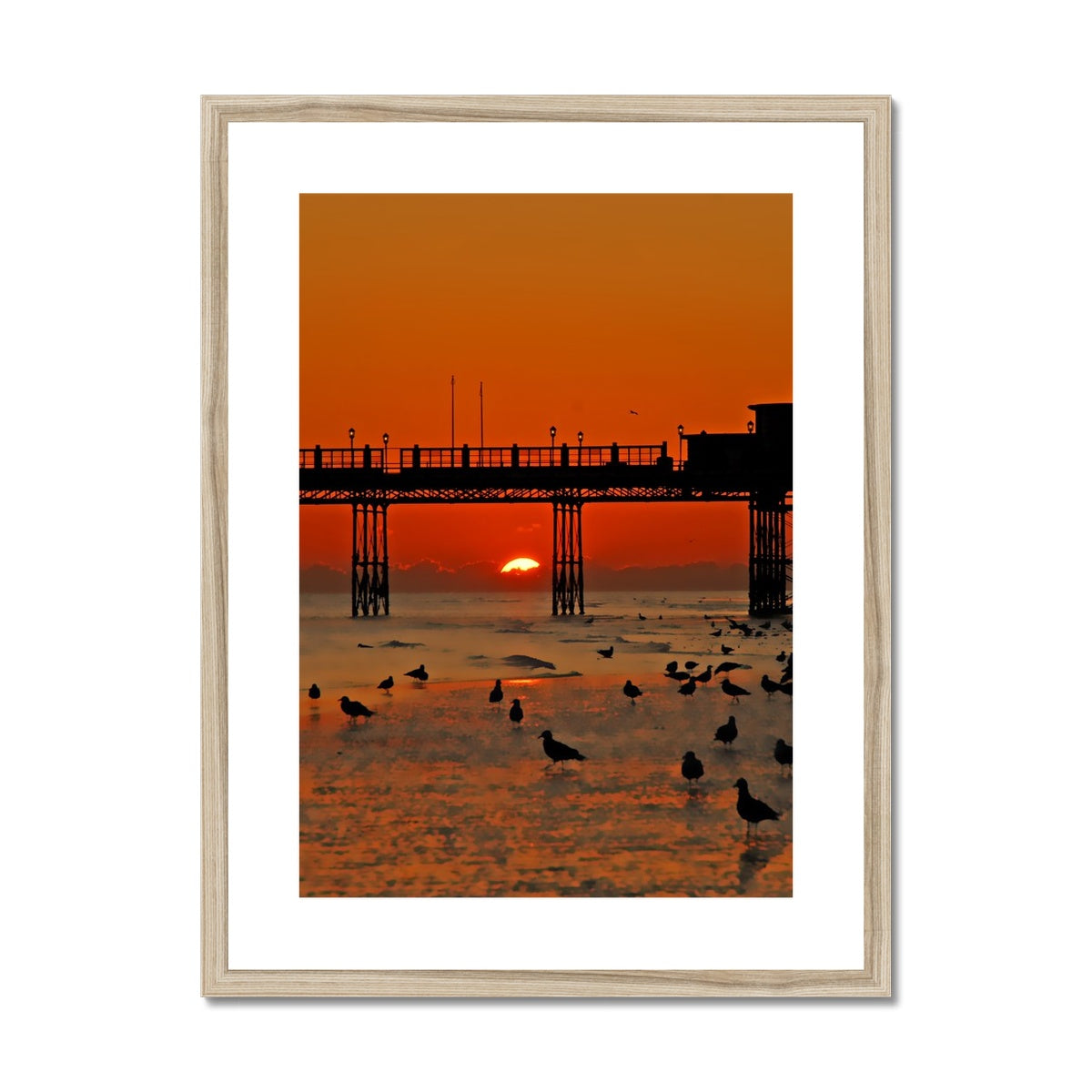 Worthing Sunset With Seagull Babies by David Sawyer Framed & Mounted Print