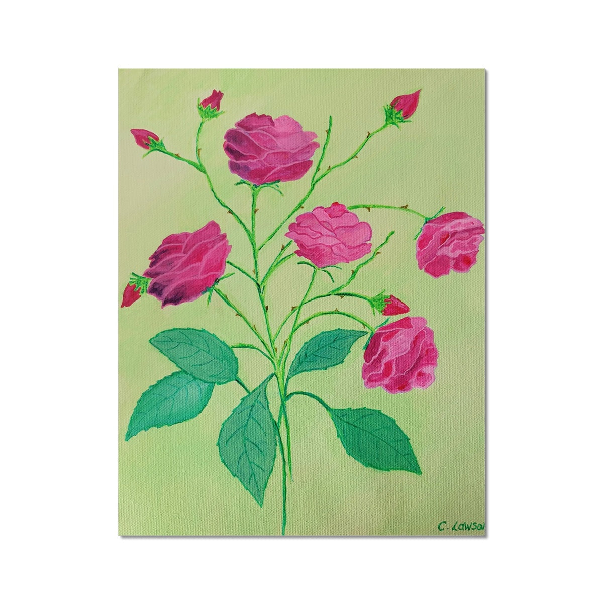 Summer Rose Fine Art Print