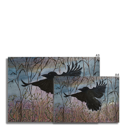 Autumn Crow 2 Fine Art Print