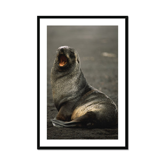ad-07-mh Framed Print