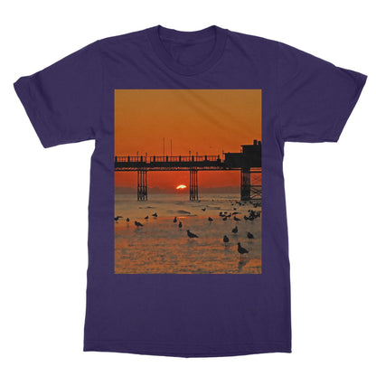 Worthing Sunset With Seagull Babies by David Sawyer Softstyle T-Shirt