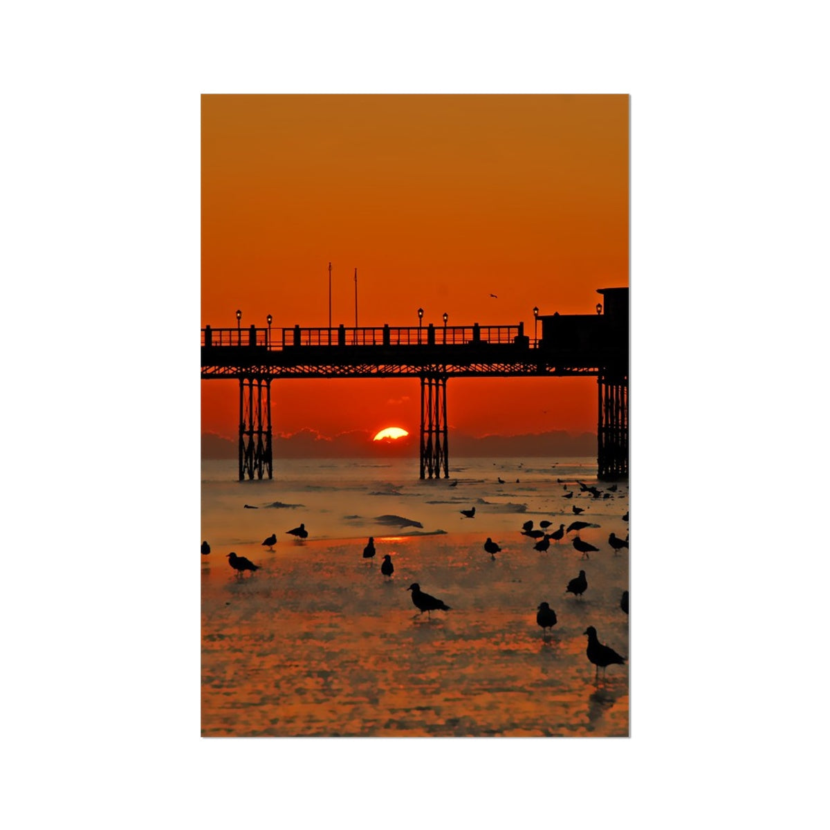 Worthing Sunset With Seagull Babies by David Sawyer Fine Art Print
