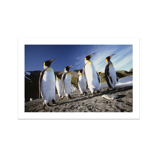 ad-09-mh Photo Art Print