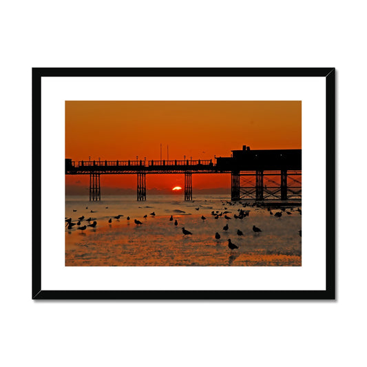 Worthing Sunset With Seagull Babies by David Sawyer Framed & Mounted Print