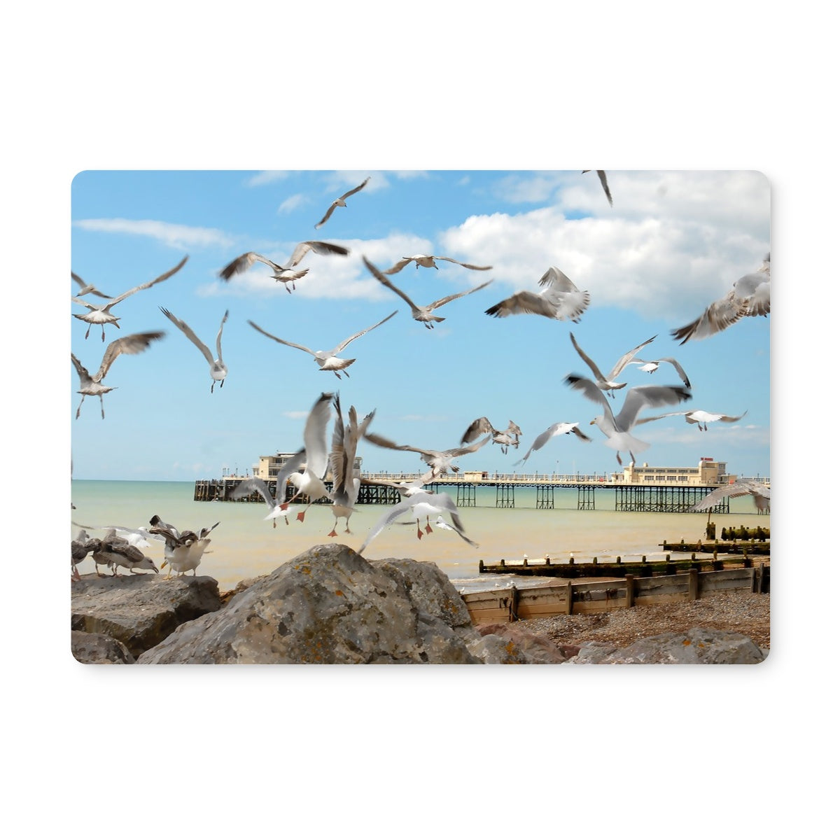 Seagulls At Feeding Time By David Sawyer Placemat