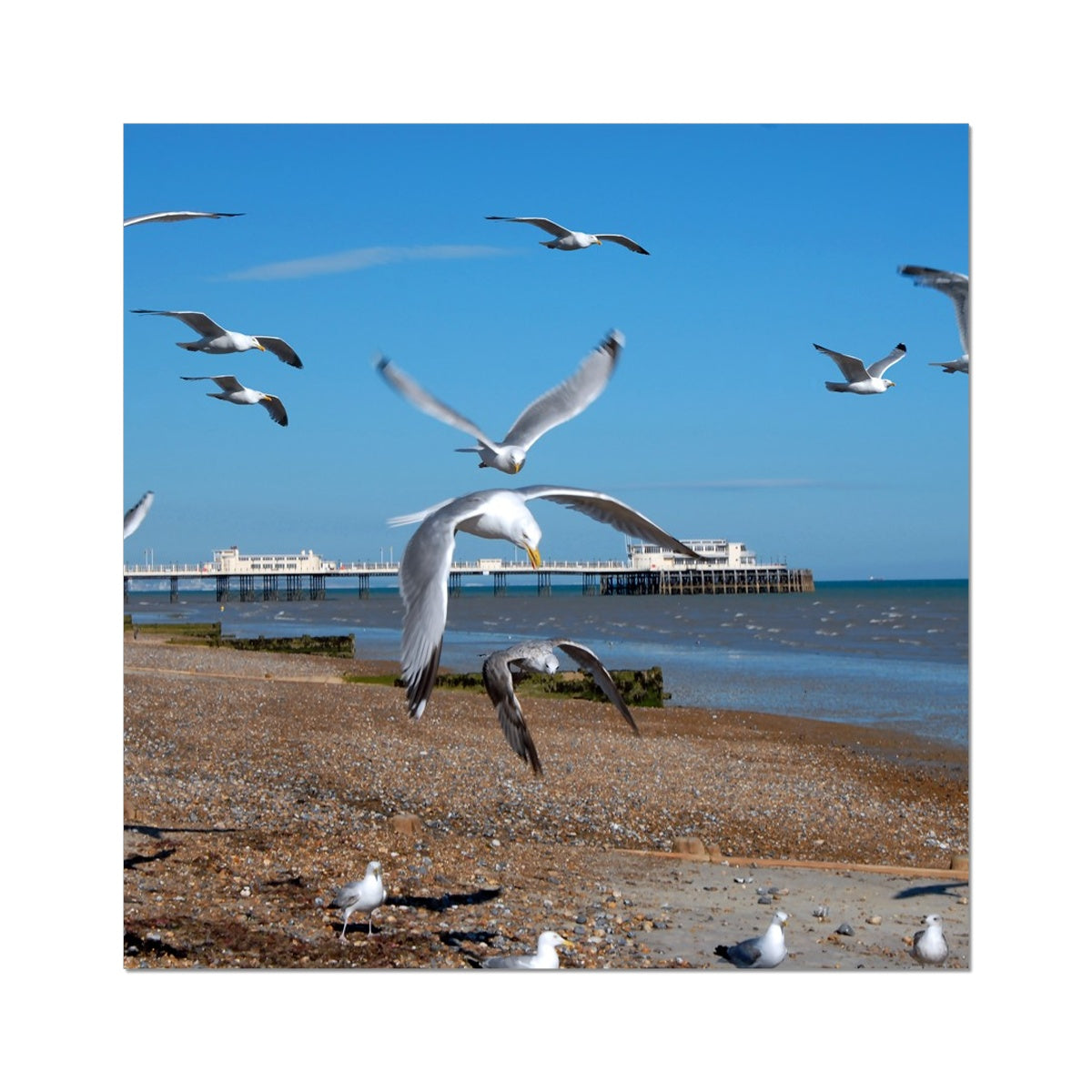 Worthing Pier From The West By David Sawyer Fine Art Print