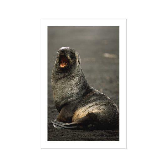 ad-07-mh Photo Art Print