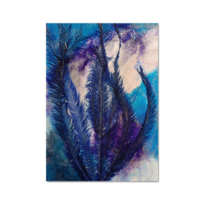 Feathers Fine Art Print