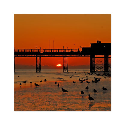 Worthing Sunset With Seagull Babies by David Sawyer Fine Art Print